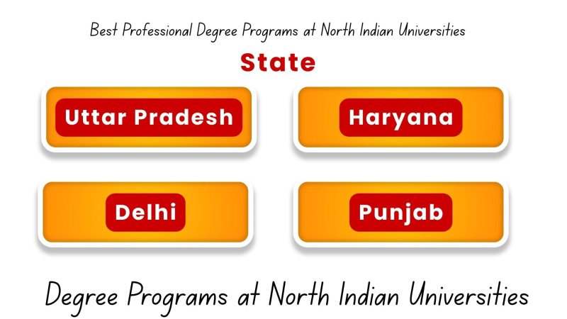 Best Professional Degree Programs at North Indian Universities: A Complete Guide
